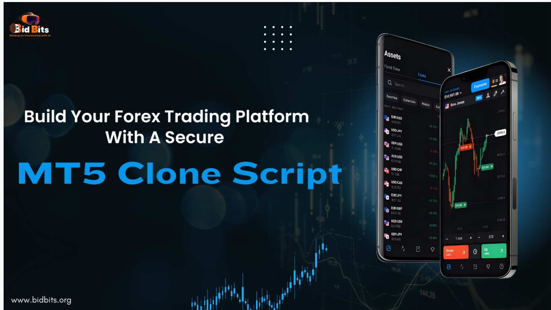 MT5 Clone Script gallery image