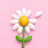 Love Me or Not: Daisy Game