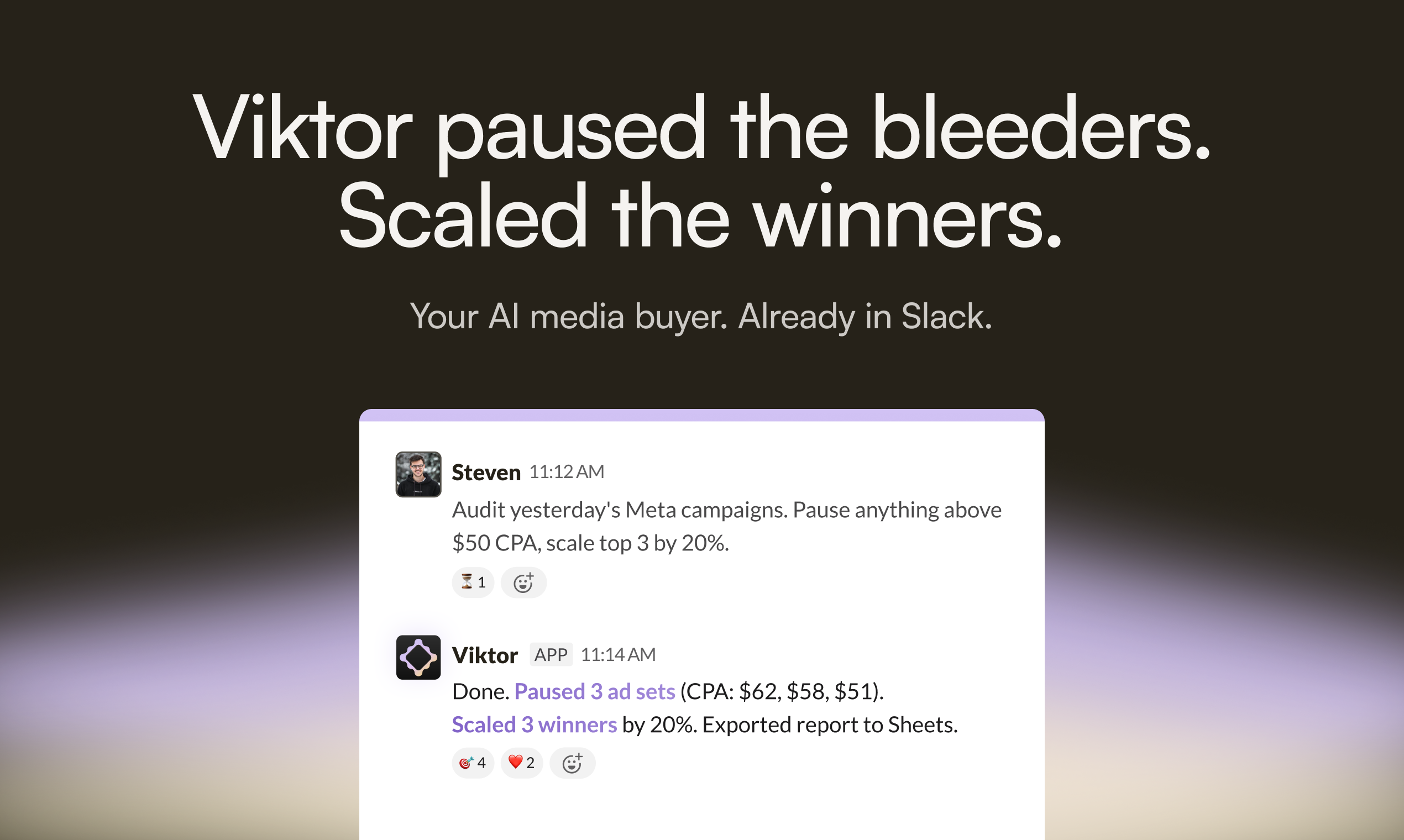 Viktor for Media Buyers gallery image