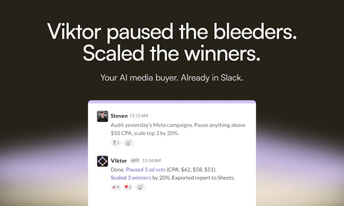 Viktor for Media Buyers产品图