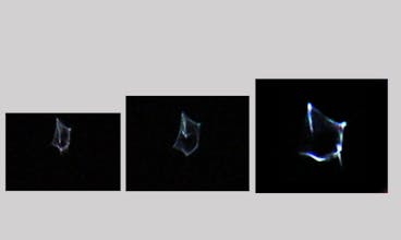 Reverse Engineering the UFO Mindset gallery image