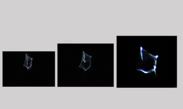 Reverse Engineering the UFO Mindset gallery image