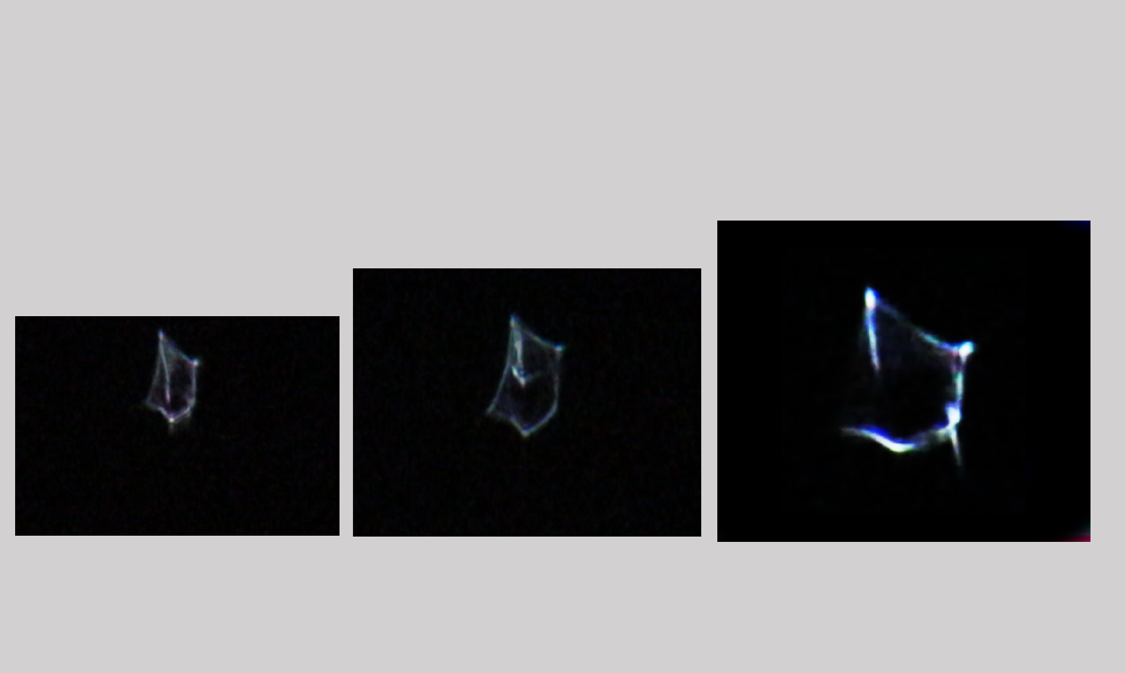 Media Kejuruteraan terbalik minda UFO - Bukan hanya kursus UFO/UAP.Ini pengalaman UFO/UAP. 4