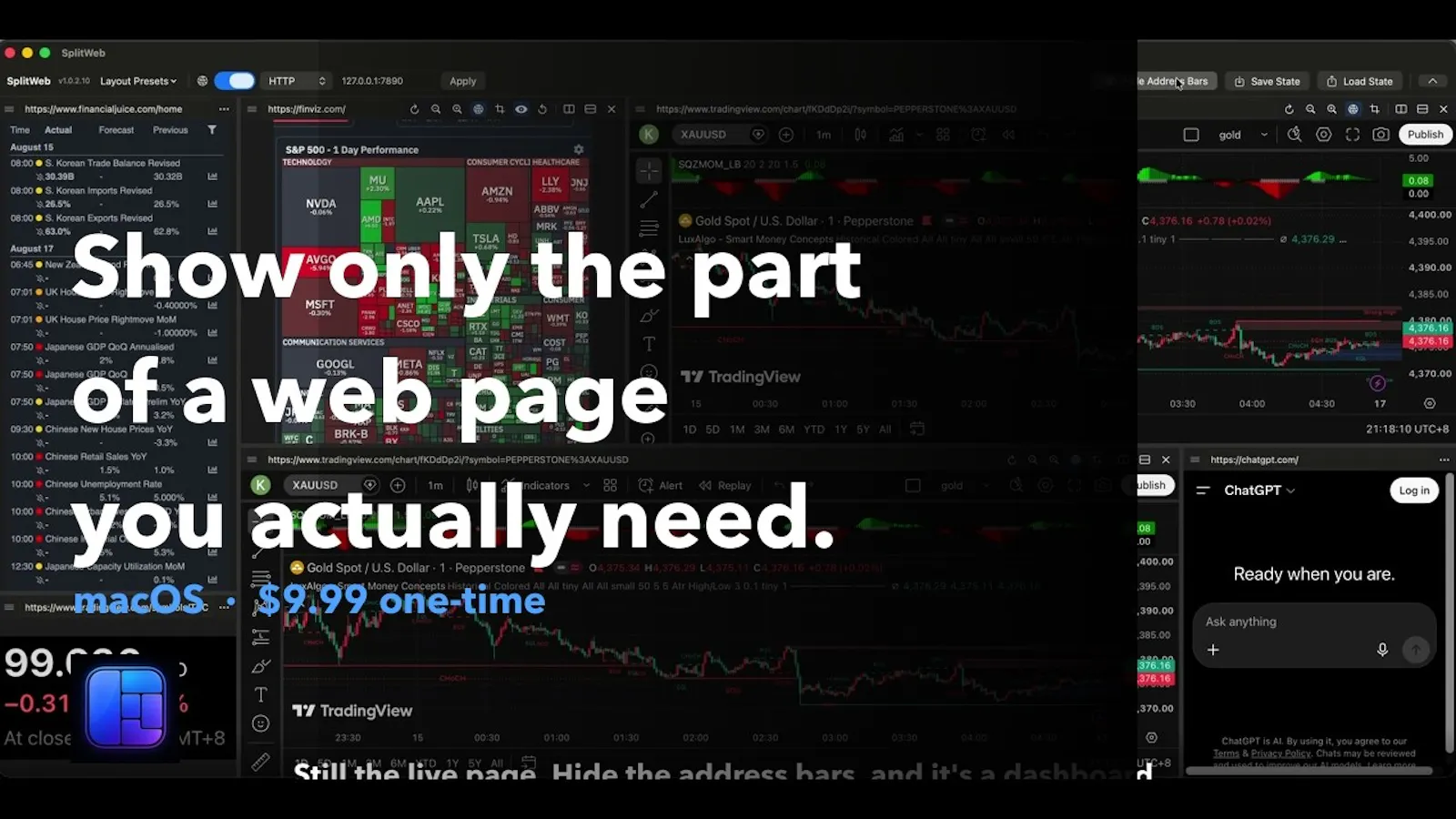 SplitWeb screenshot 1 (video preview)