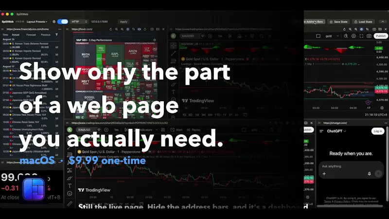 SplitWeb screenshot 1 (video preview)