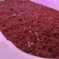 Herbstation