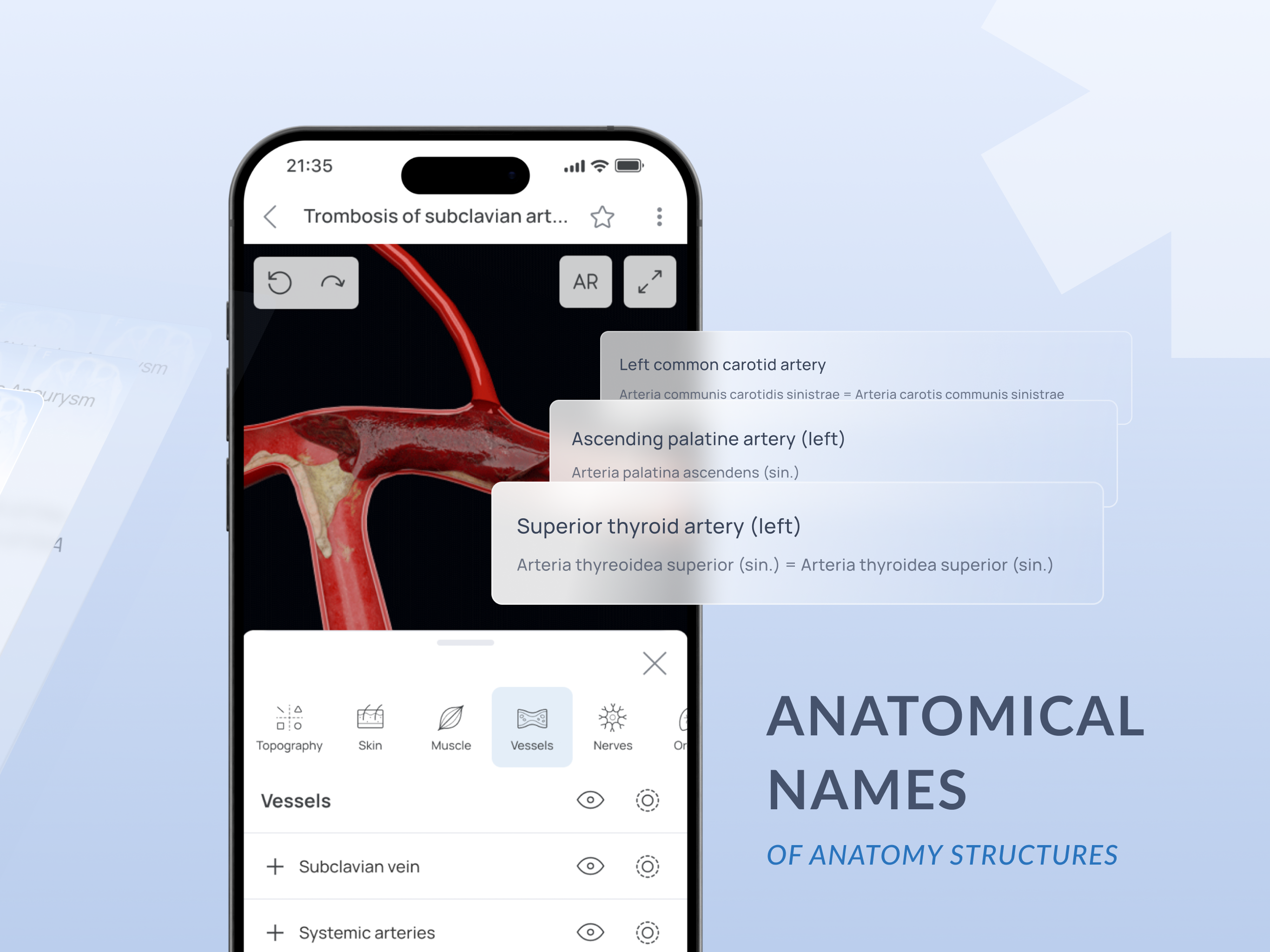 Media Voca Anatomy Pro 7