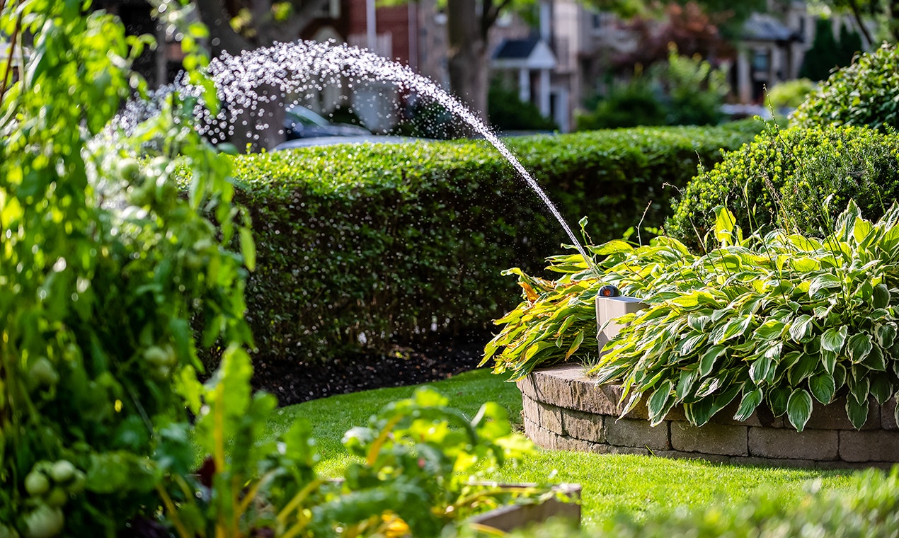 OtO Lawn gallery image