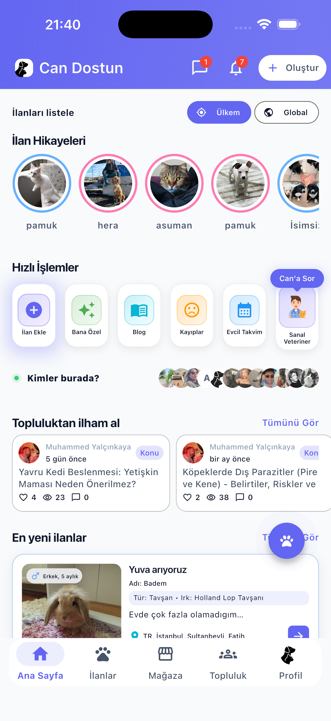 Can Dostun gallery image