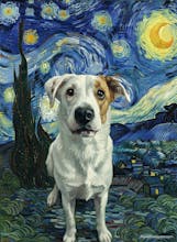 Dog Cartoonizer app - alpha version gallery image