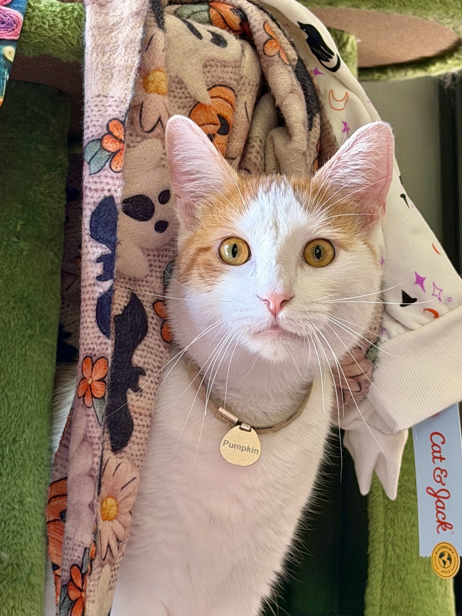 DualShot Camera screenshot 4