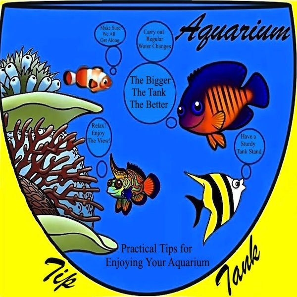Aquarium Tip Tank Podcast - Stocking a Fish Tank