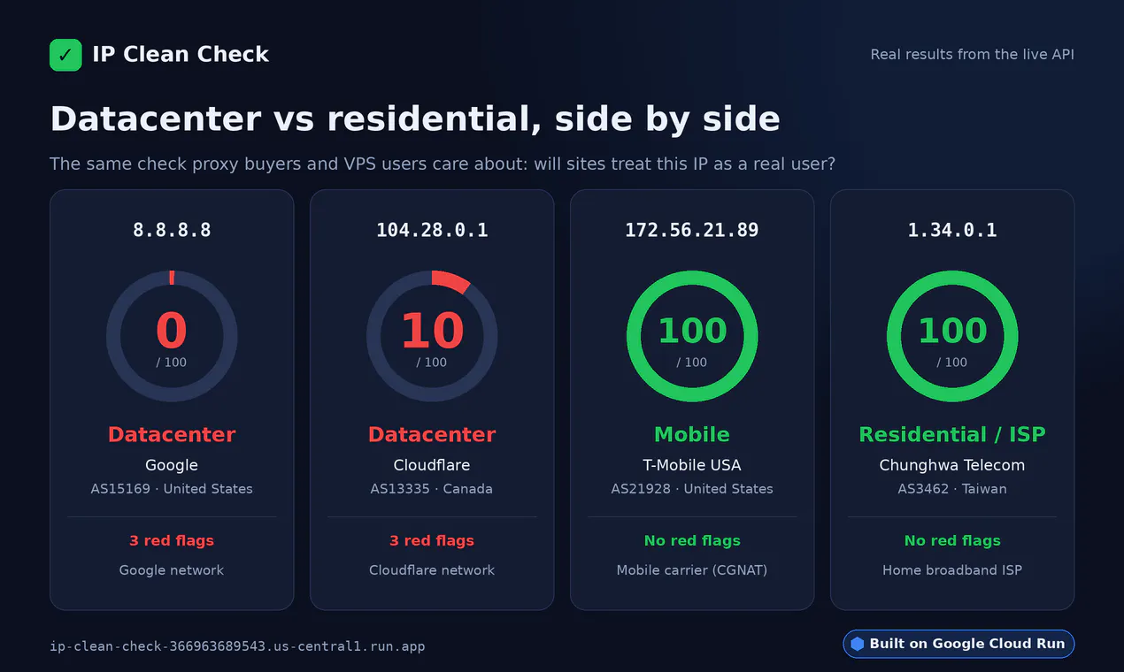 IP Clean Check gallery image