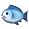 text.fish