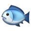 text.fish