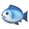 text.fish