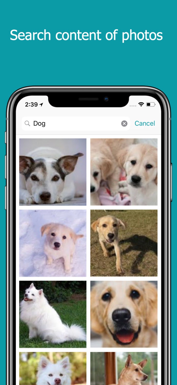 Retana gallery image