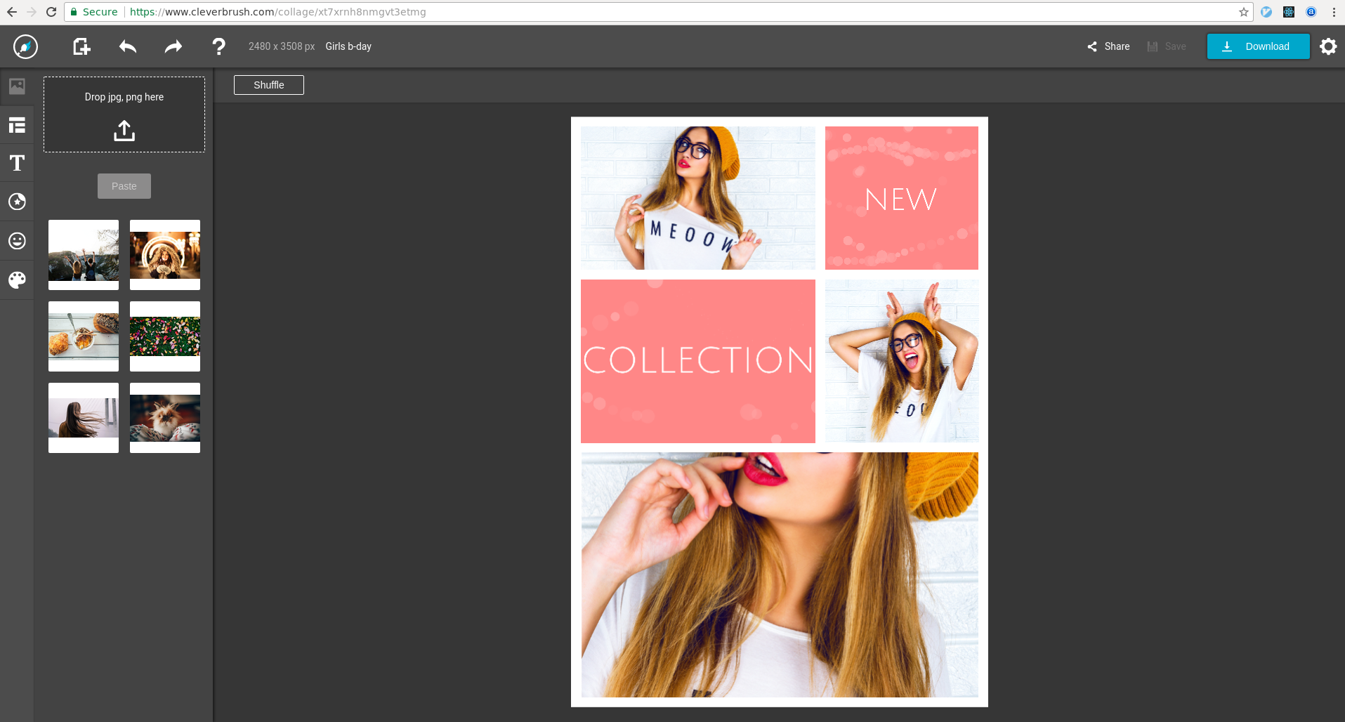 CleverBrush gallery image