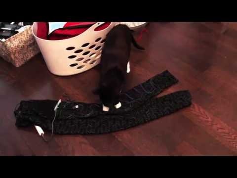 Whoa Board gallery image