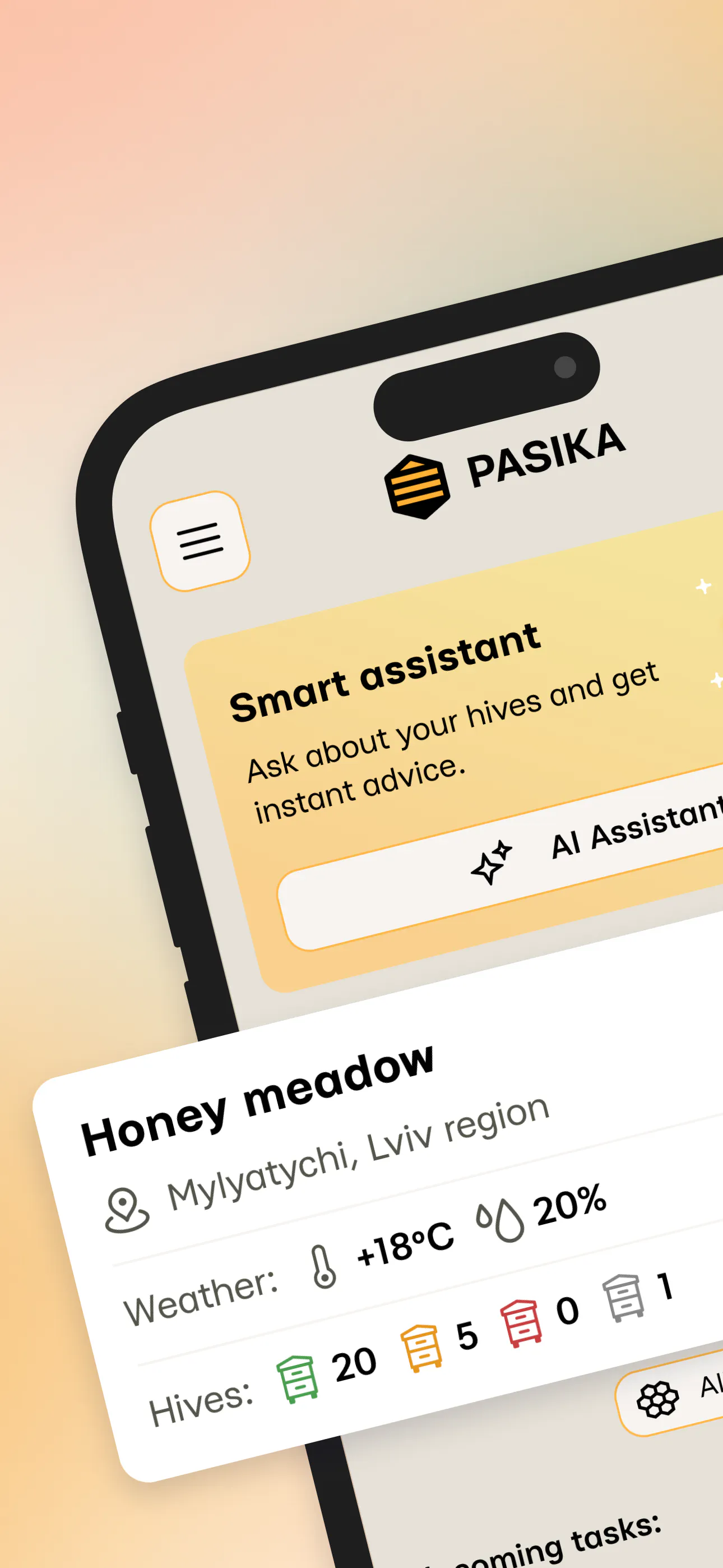 Pasika gallery image