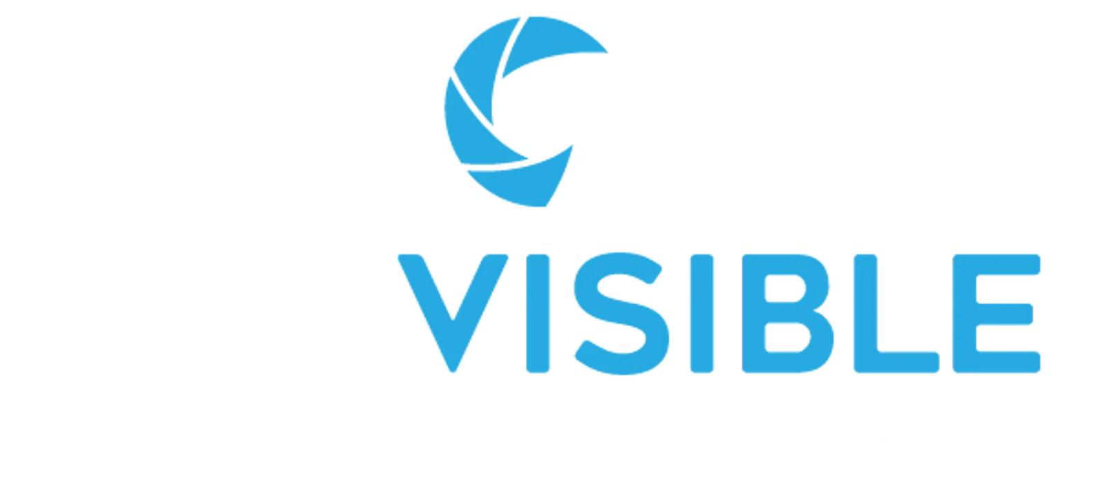 Get Visible - Digital Marketing Agency screenshot 1