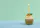 Food Delivery Software