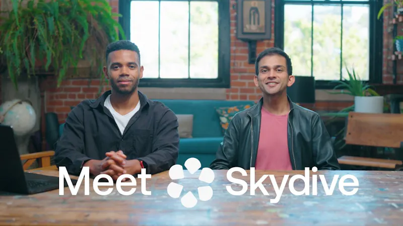 Skydive screenshot 1 (video preview)