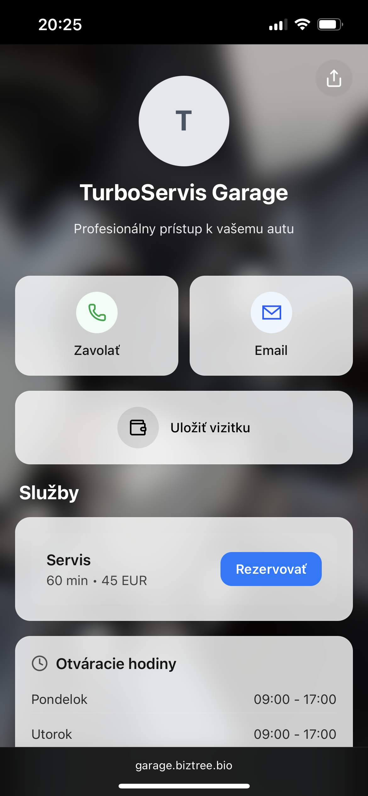 BizTree gallery image