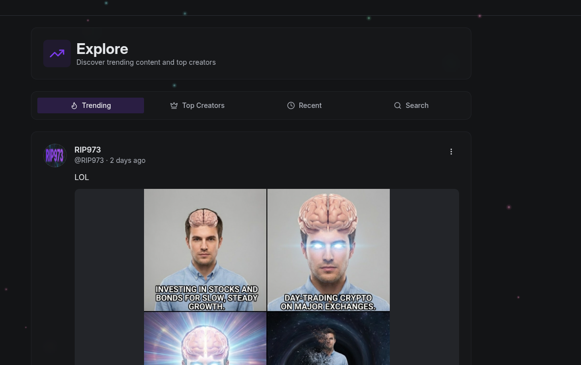 RIP973 gallery image