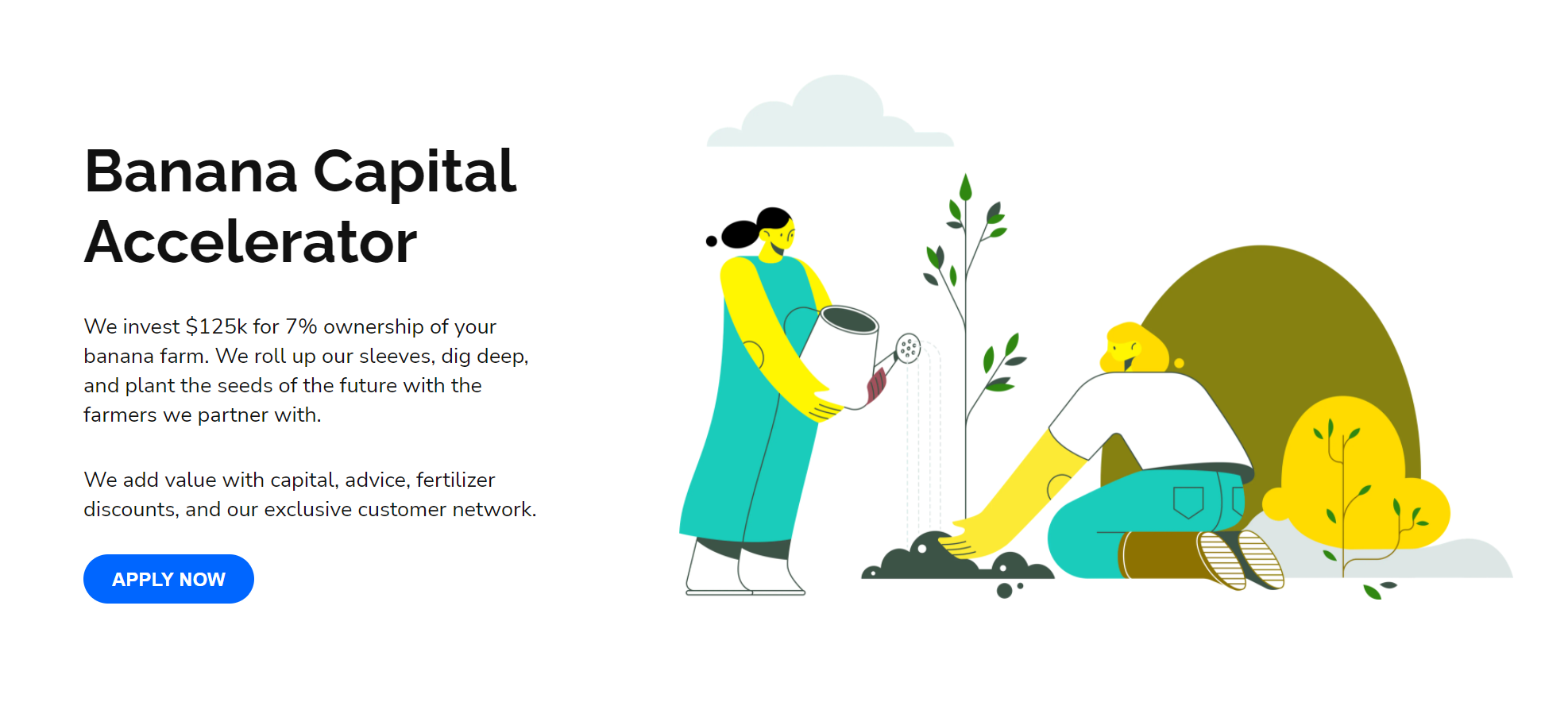 Banana Capital Accelerator gallery image