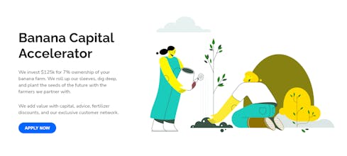 Banana Capital Accelerator gallery image