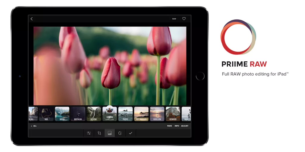 Priime RAW Image