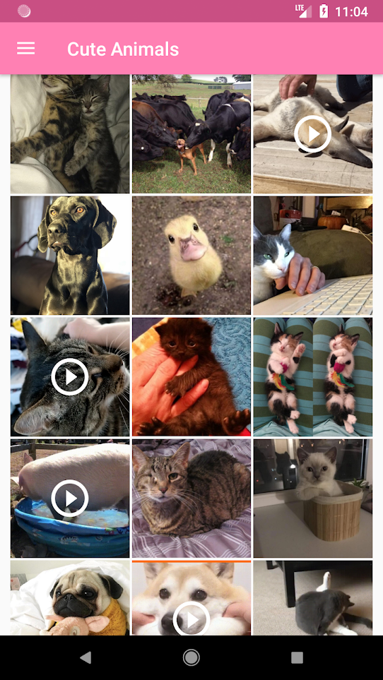 Cute Animals gallery image