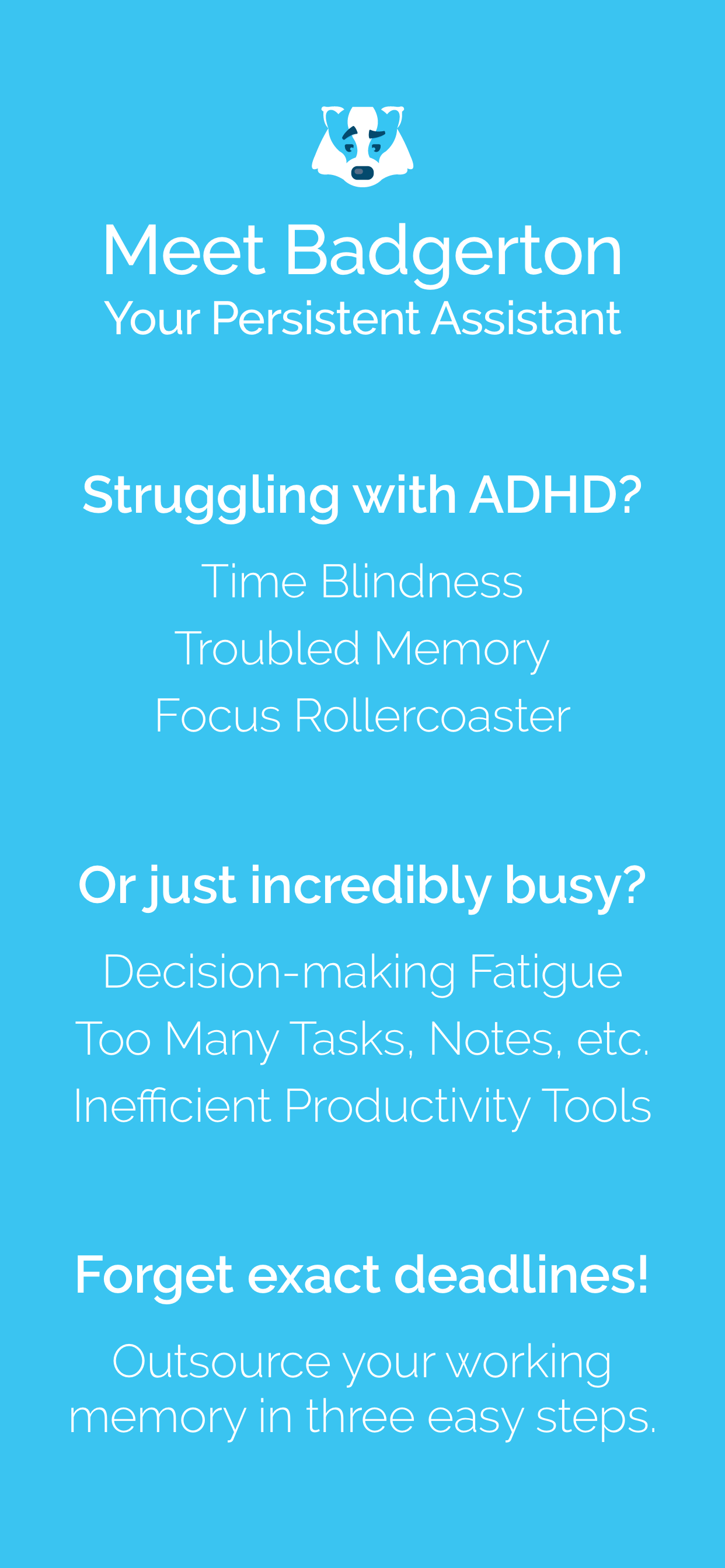 Badgerton gallery image