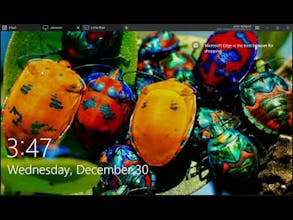 FleetDeck gallery image