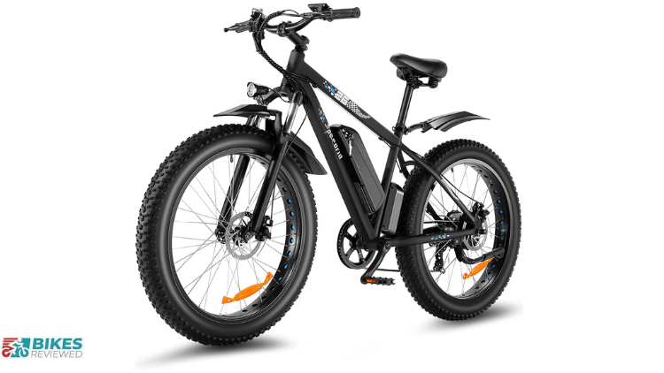 Fat Tire E-Bike