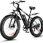 Fat Tire E-Bike