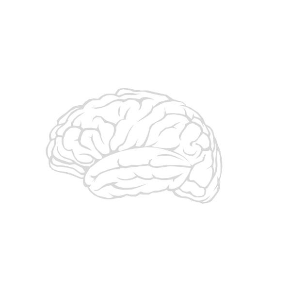 Second Brain 2.0 logo