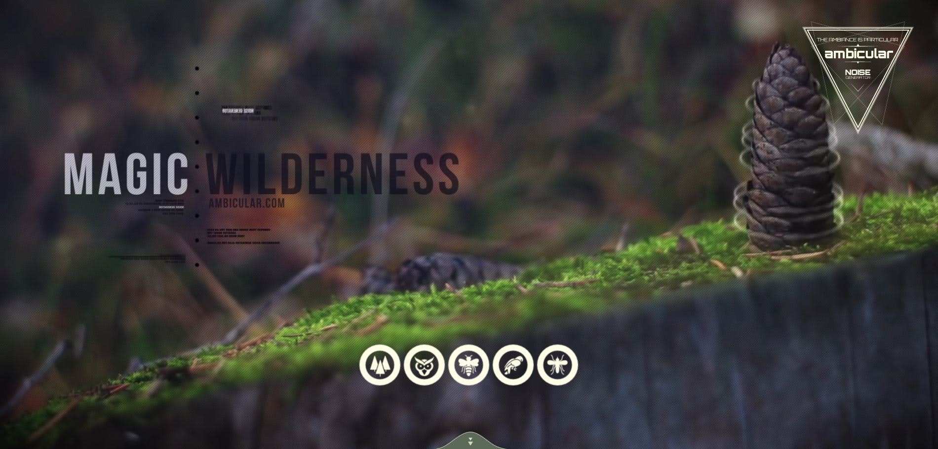 Ambicular gallery image