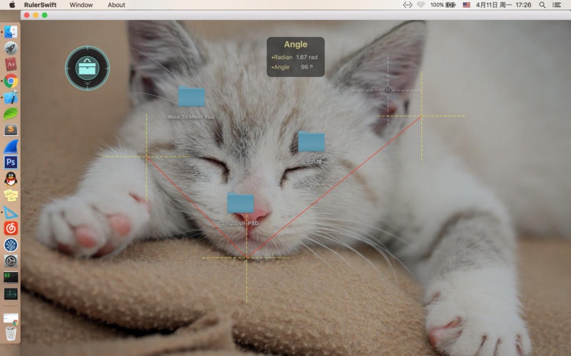 RulerSwift gallery image