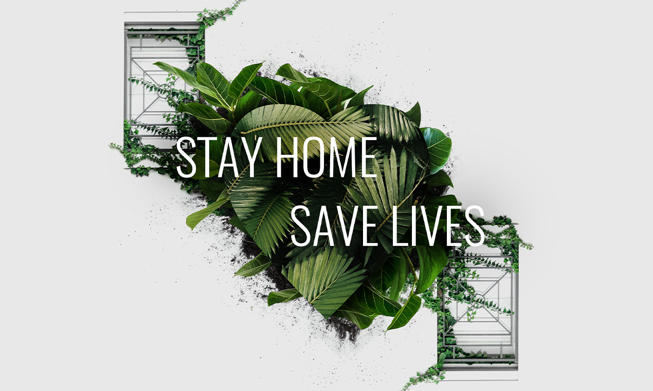 Nature From Home gallery image