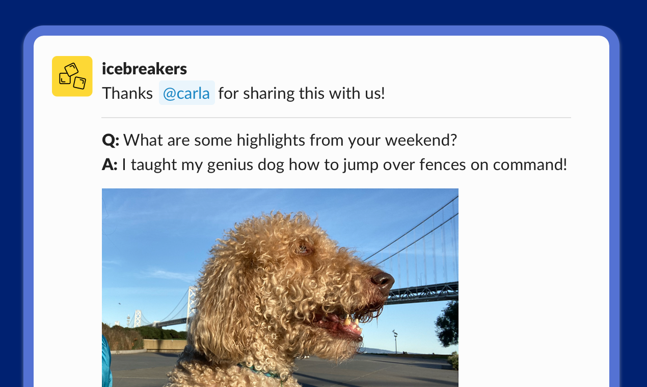 Icebreakers 3.0 COVID-19 edition gallery image