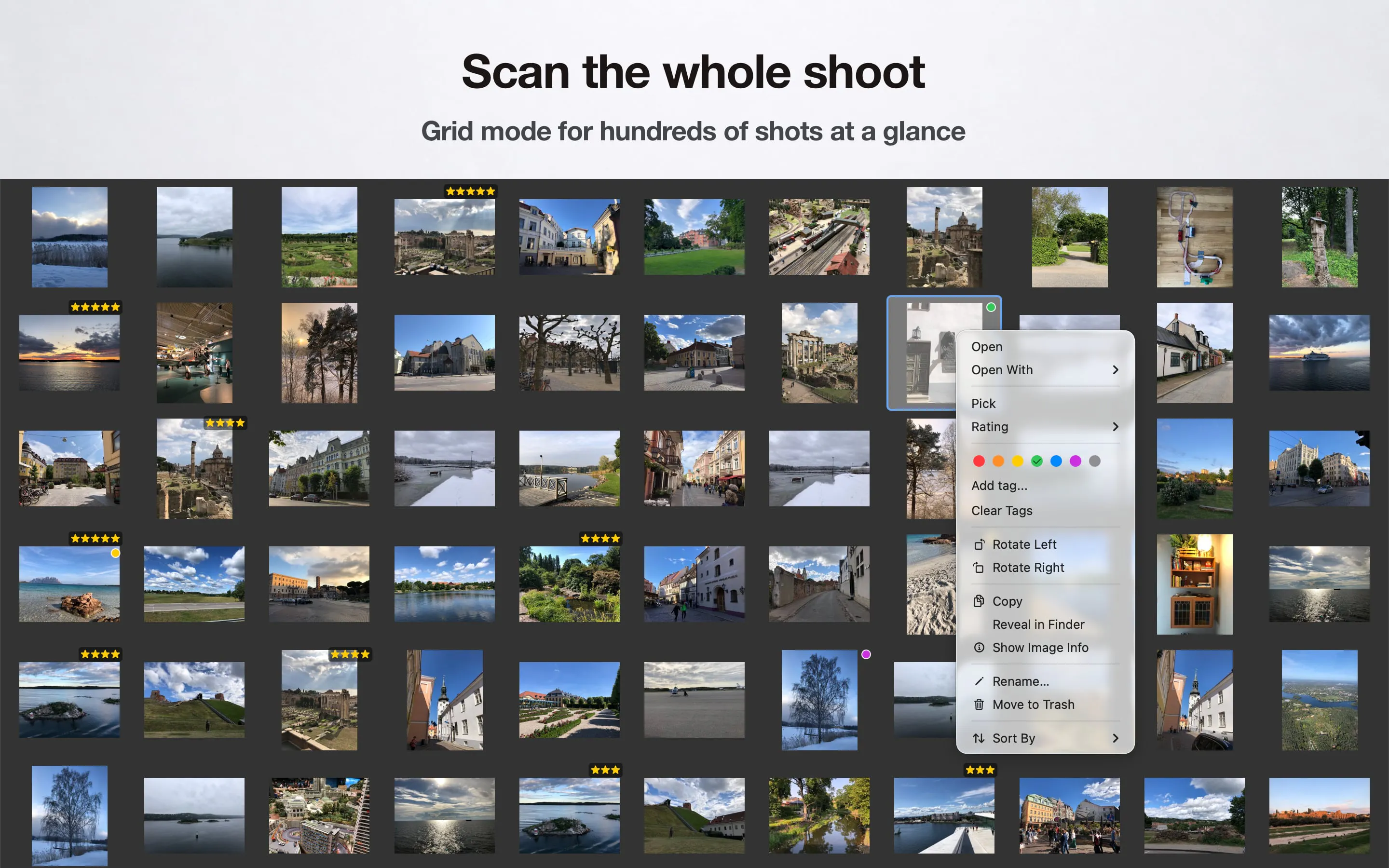 Just Look! gallery image
