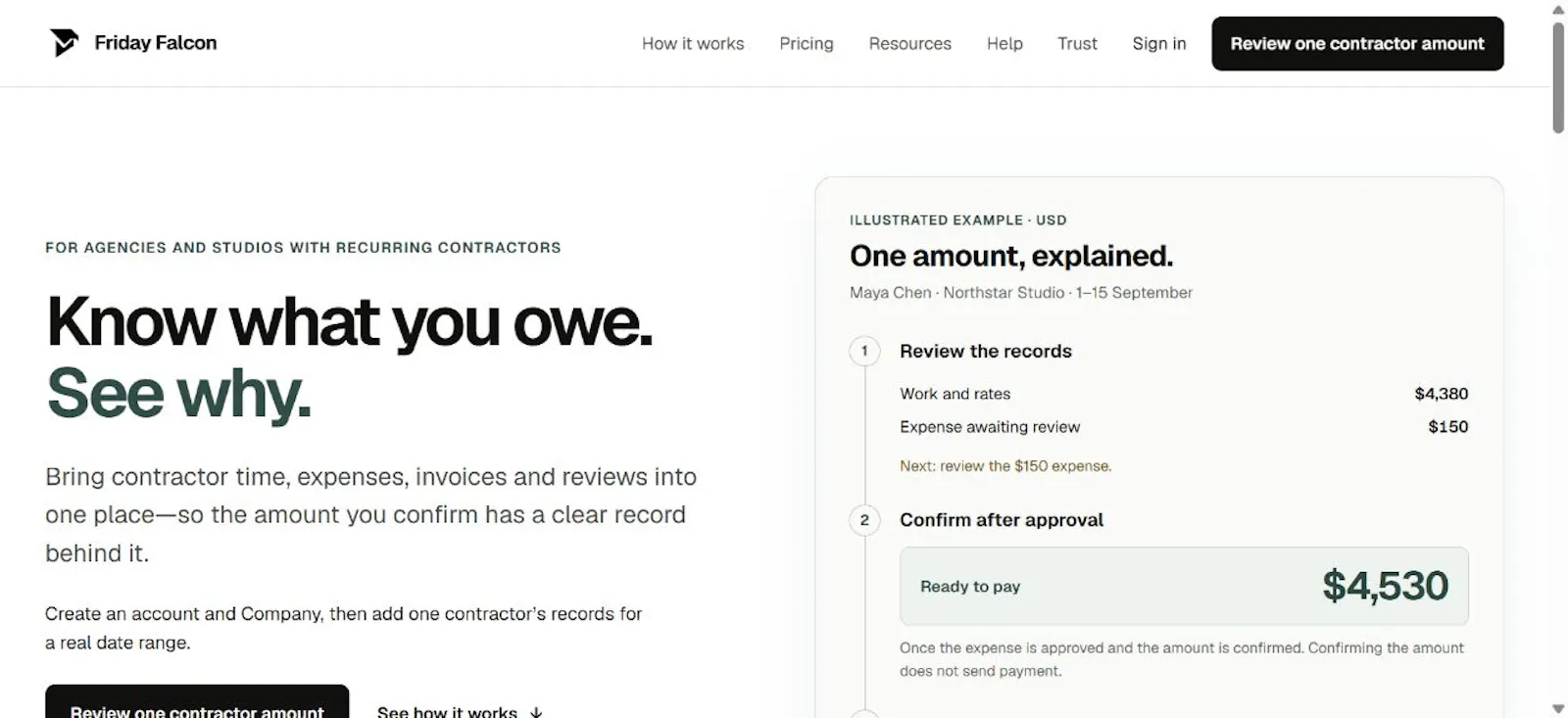Friday Falcon screenshot 2