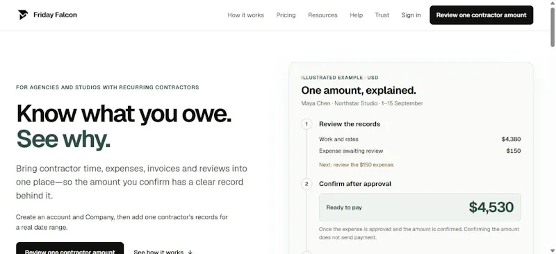 Friday Falcon screenshot 2