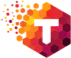 TeamHive logo