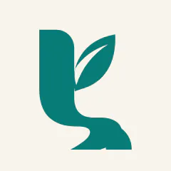 Laimivo Review