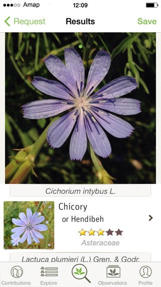 PlantNet gallery image