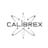 Calibrex: Data-Powered Fitness
