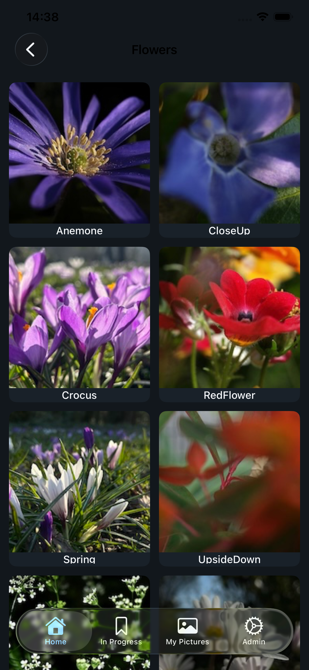Papis Canvas Puzzles - Main product screenshot demonstrating key features and user interface